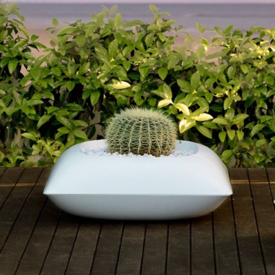 GHIVECI PILLOW PLANTER