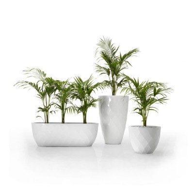 GHIVECI VASES PLANTER