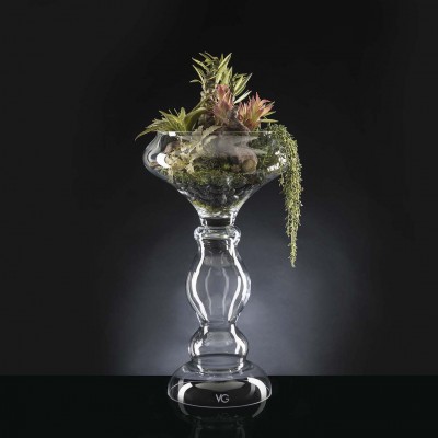 Aranjament floral ETERNITY BOWL EXOTIC ZEUS