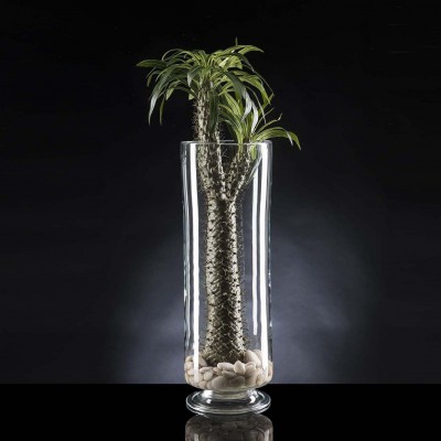 Aranjament floral ETERNITY CYLINDER CACTUS