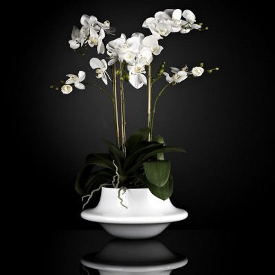 Aranjament floral ATOLLO 3 WITH PHALENOPSIS BIG