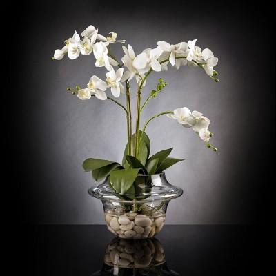 Aranjament floral LIGHT ATOLLO 2 PHALENOPSIS MEDIUM