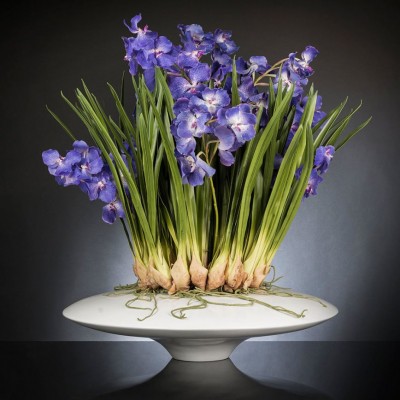 Aranjament floral LUX CYMBIDIUM, 80x95cm