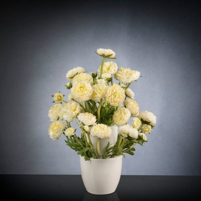 Aranjament floral BABILON RANUNCOLO Small 50cm, alb