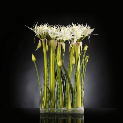 Aranjament floral LUX SPIDERLILLY, 65x85cm