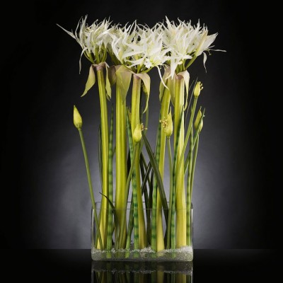 Aranjament floral LUX SPIDERLILLY, 50x100cm
