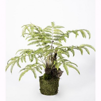 Aranjament floral  I/POT FERN GREEN 90cm