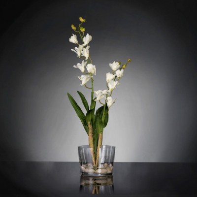 Aranjament floral elegant, design LUX ETERNITY ALFEO CYMBIDIUM