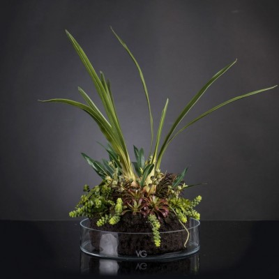 Aranjament floral elegant, design LUX CYMBIDIUM PLANT