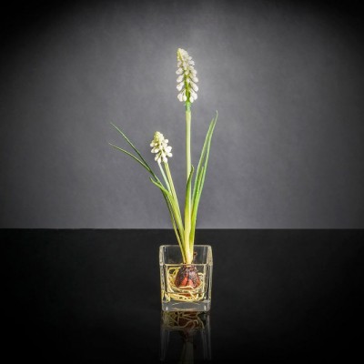 Aranjament floral mic decor festiv design LUX ETERNITY CUBO SINGLE MUSCARI