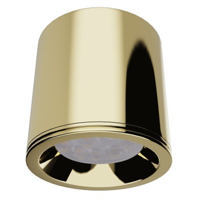 Spot aplicat design minimalist cu protectie IP65 FORM auriu periat