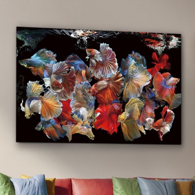 Tablou de perete decorativ Peces Siam, 150x100cm