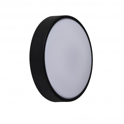 Aplica de perete / tavan exterior IP54 Oliver Black