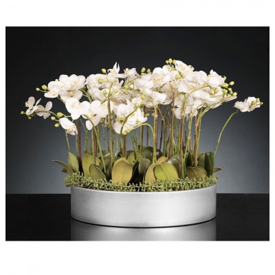 Aranjament floral mediu design LUX PHALEANOPSIS DISK