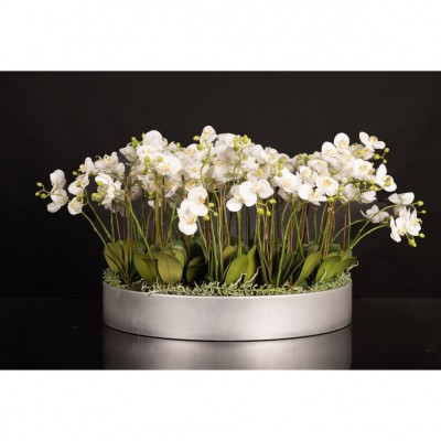 Aranjament floral mediu design LUX BIG PHALEANOPSIS DISK