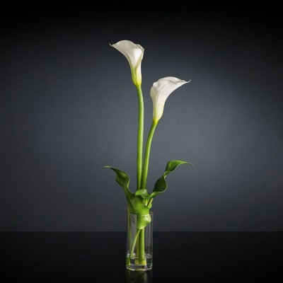 Aranjament floral mediu design LUX CILINDRO CALLA