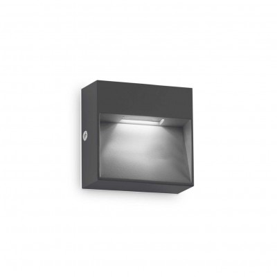 Aplica LED iluminat exterior ambiental IP65 Dedra ap big