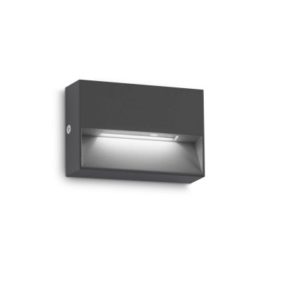 Aplica LED iluminat exterior ambiental IP65 Dedra ap small